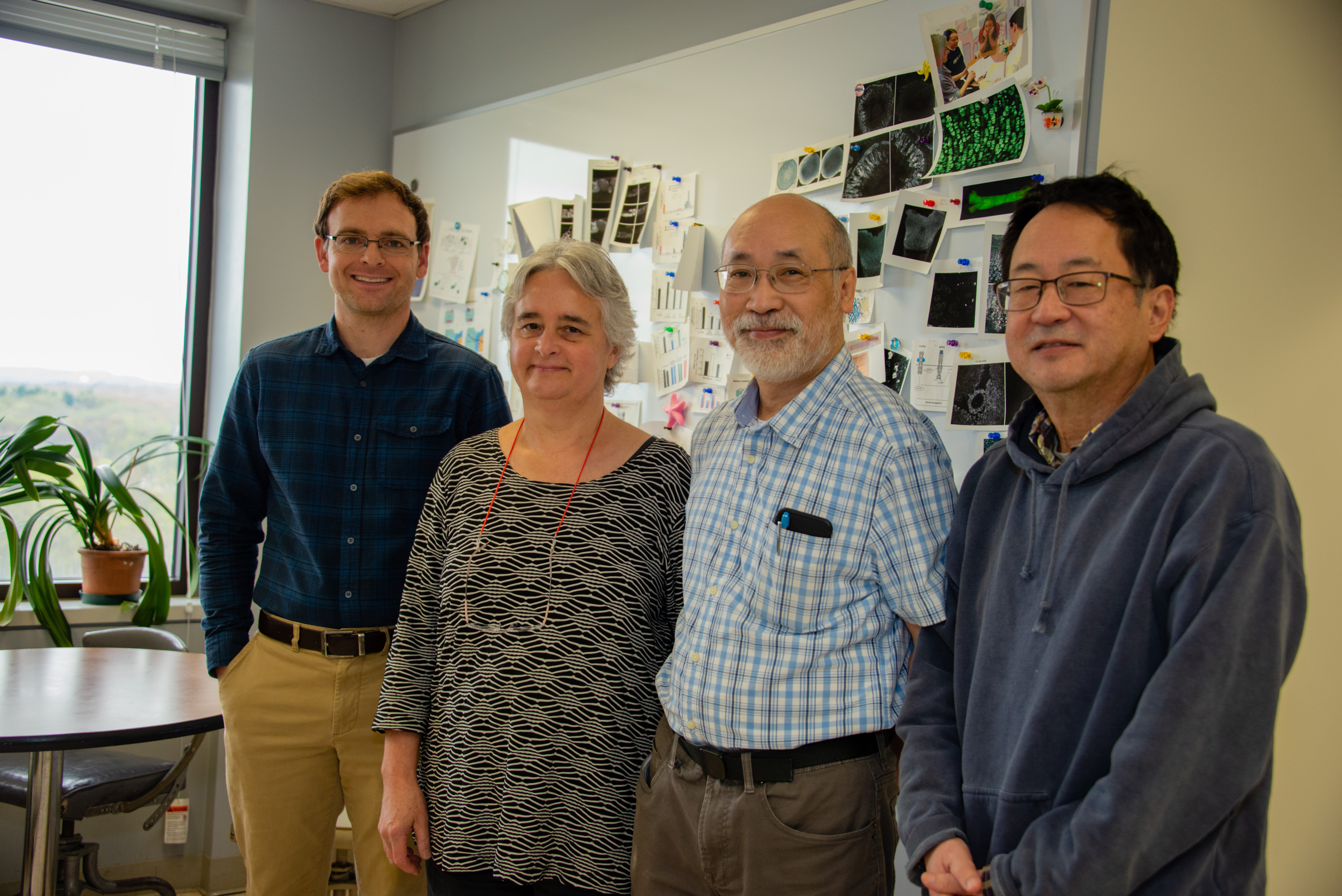 Jeremy Egbert Ph.D., Laurinda Jaffe Ph.D. (Chair), Siu-Pok Yee Ph.D., and Mark Terasaki Ph.D. in the Department of Cell Biology at UConn Health on May 1, 2019. (Tina Encarnacion/UConn Health photo)
