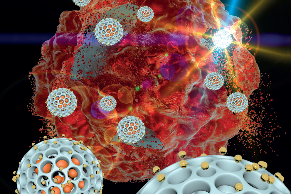 Nanoparticles target tumors in peritoneal cavity.