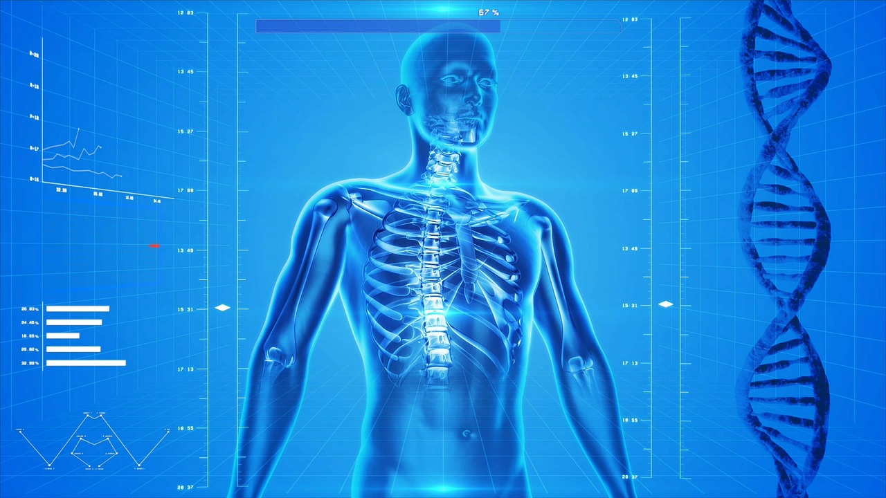 Human skeleton on computer. Image by PublicDomainPictures from Pixabay