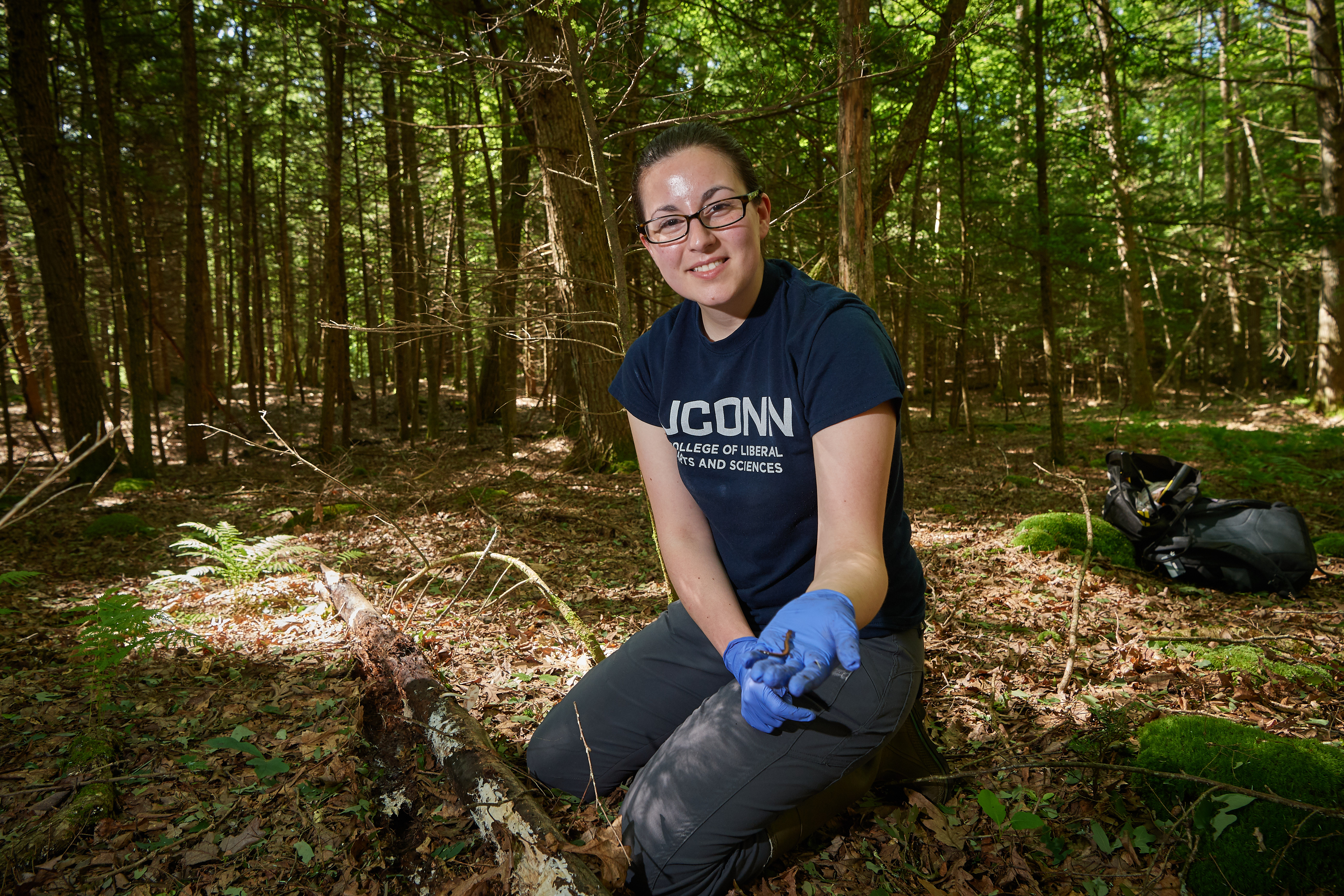 Sarah Baker '20 (CLAS) holds an eastern red-backed salamander found in the Moss Forest Tract in Willington. (Peter Morenus/UConn Photo)