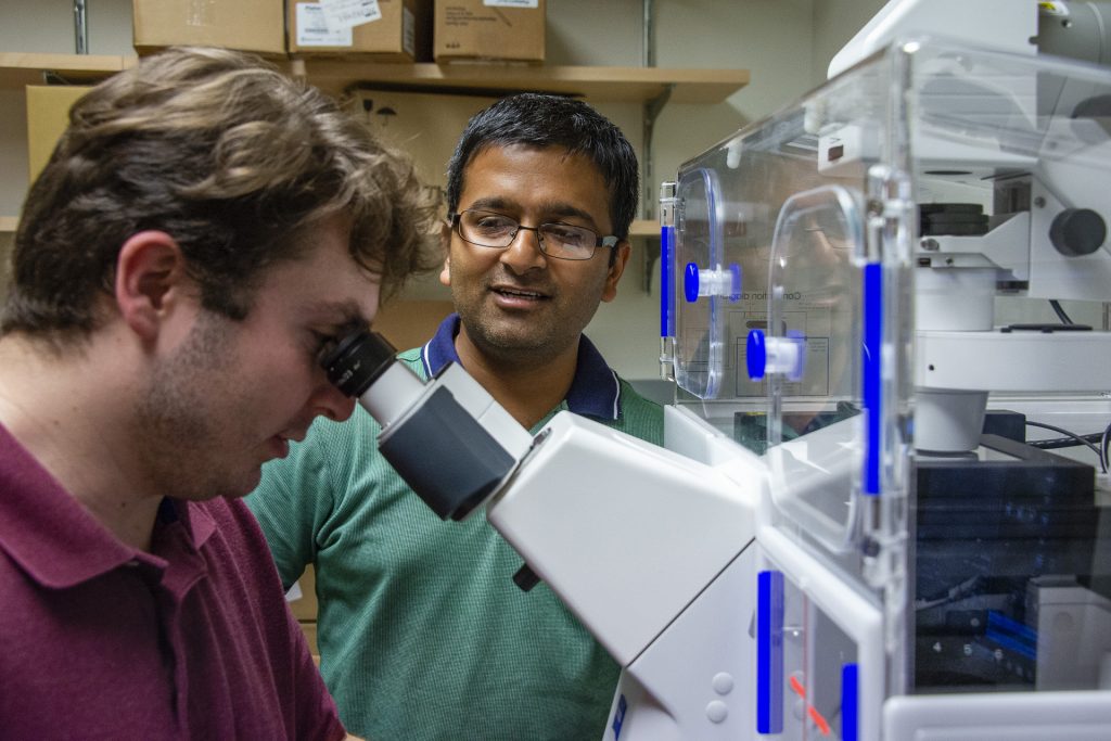 Assistant professor Kshitiz, center, looks on as Visar Ajeti, a postdoctoral fellow, views cells through the microscope in the Cell-Cell Communications Lab, on June 21, 2019. (Tina Encarnacion/UConn Health Photo)