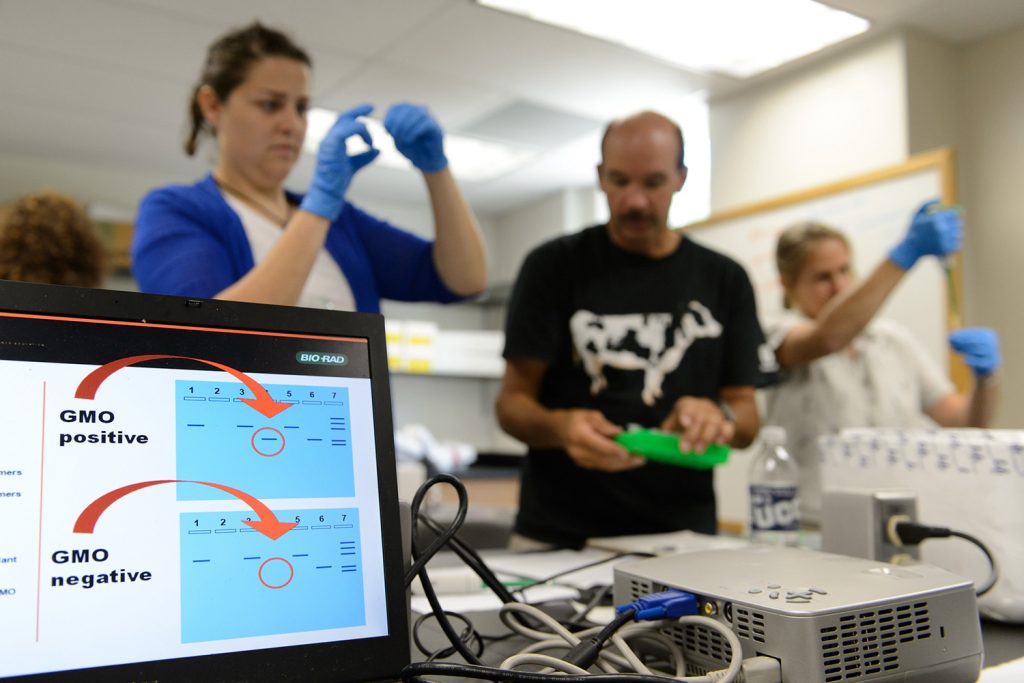 Connecticut high school teachers use DNA analysis to investigate whether food contains GMO modified soy products on June 28, 2012. (Peter Morenus/UConn Photo)