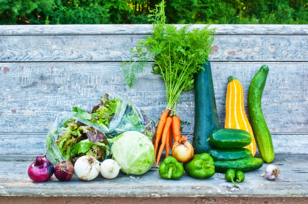 Freshly harvested summer vegetables sit on a wooden bench