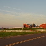 A view of the Kellogg Dairy Center. (Peter Morenus/UConn Photo)