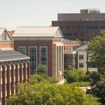 A view of the Rowe and Gentry buildings on a summer day, with the Homer Babbidge Library in the background.