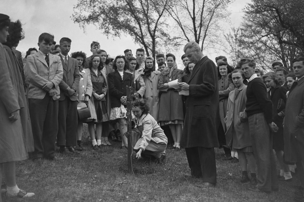 In April 1945, members of the local 4-H Club planted an oak tree in memory of Edwin G. Woodward, dean of the College of Agriculture, who died as a result of the circus fire, on a slope near the President’s Residence on Oak Hill. (University Library Archives &amp; Special Collections)