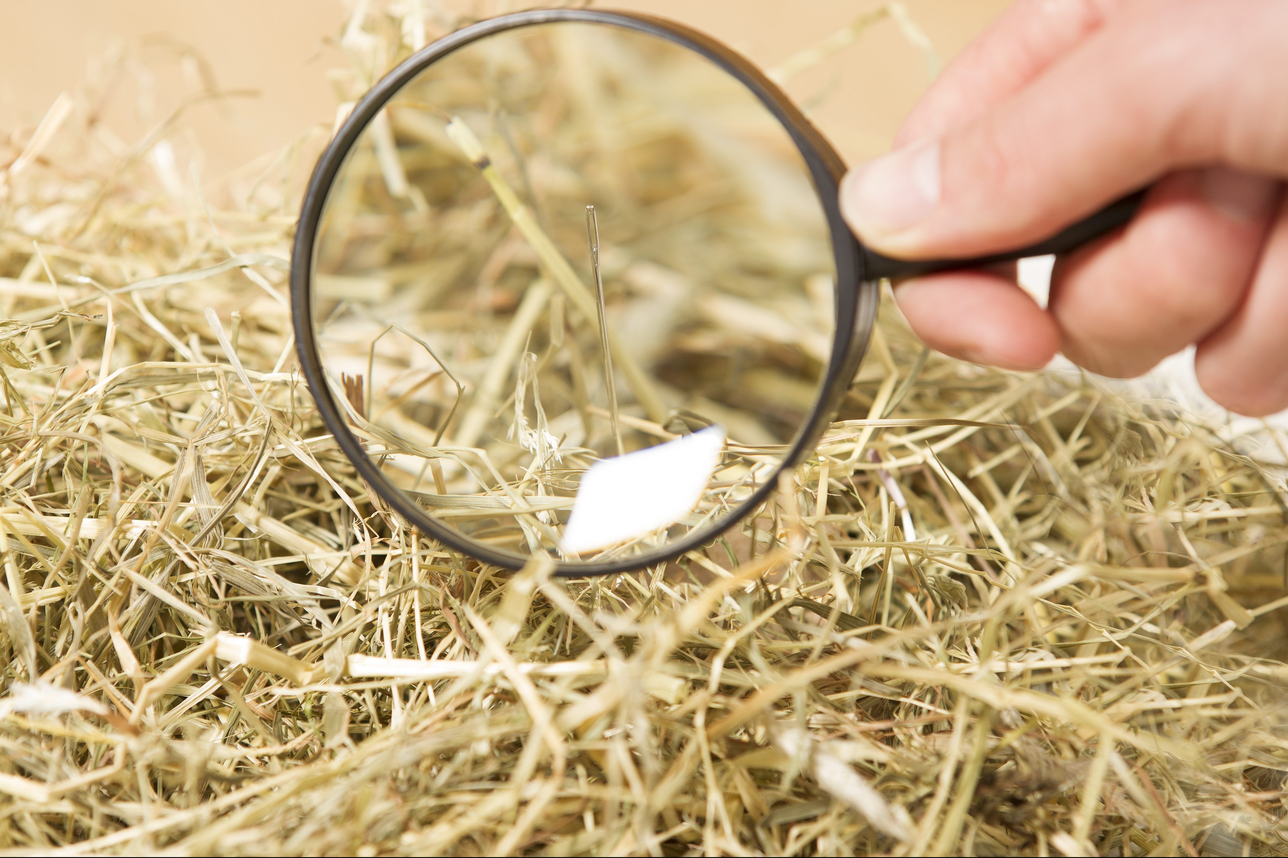 A magnifying glass reveals a needle in a haystack