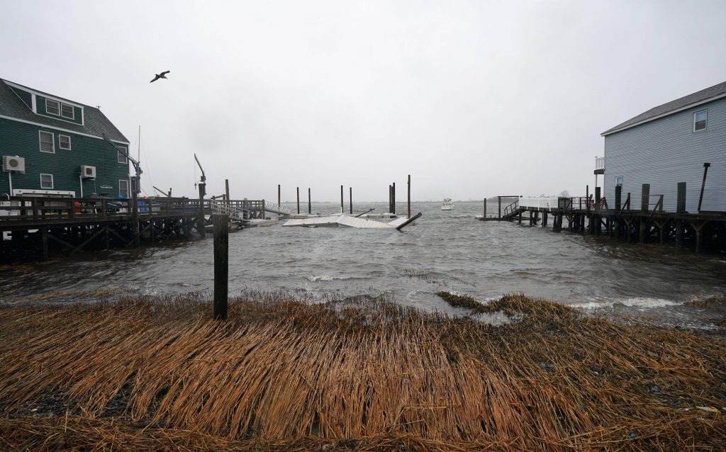 Bird flies during a coastal storm.