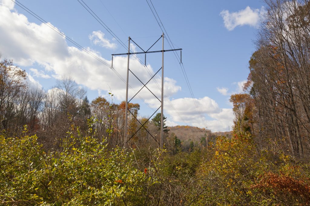 A view of high tension wires with autumn foliage. (Getty Images)