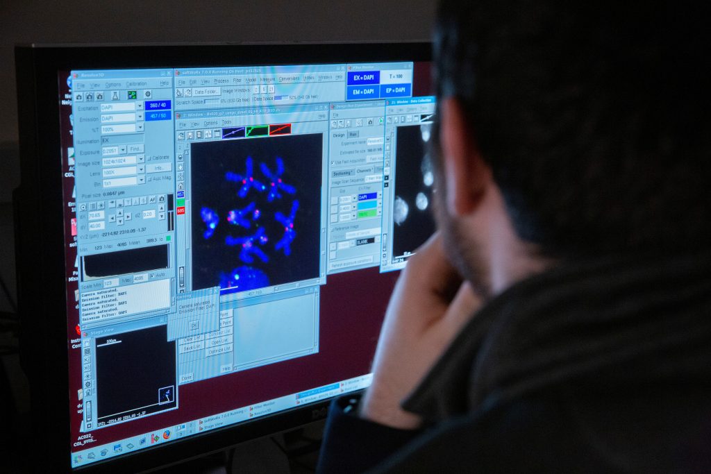 Male scientist looking at computer screen.