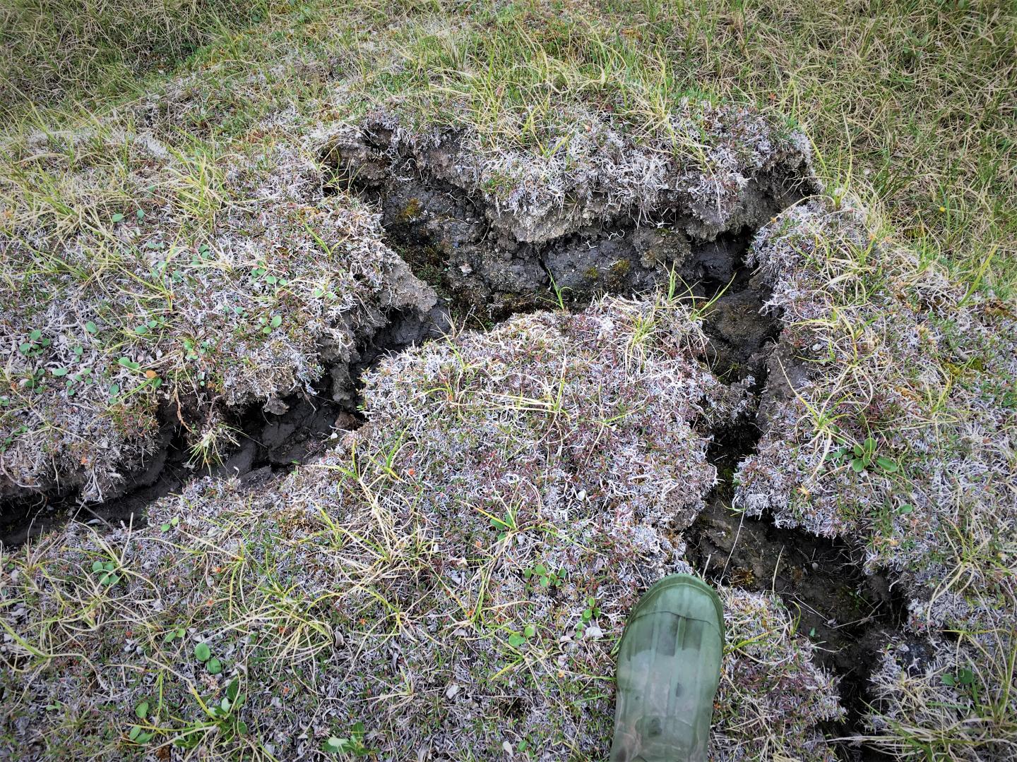 Image of cracked ground with a green rubber boot.