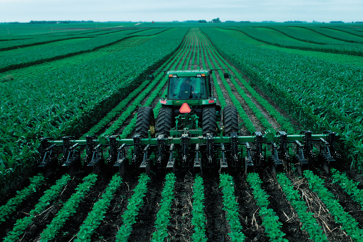 Ridge-till and strips of corn and soybeans in northwest Iowa field.