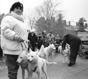 Linda and Bill Hahn of  SnoLyn Kennel in Willington prepare their team of Husky dogs for a dog-sled demonstration,  part of The Connecticut State Museum of Natural History's Discovery Days: Discover Life In The Polar Regions program in 1998. (Richard Boynton/UConn File Photo)