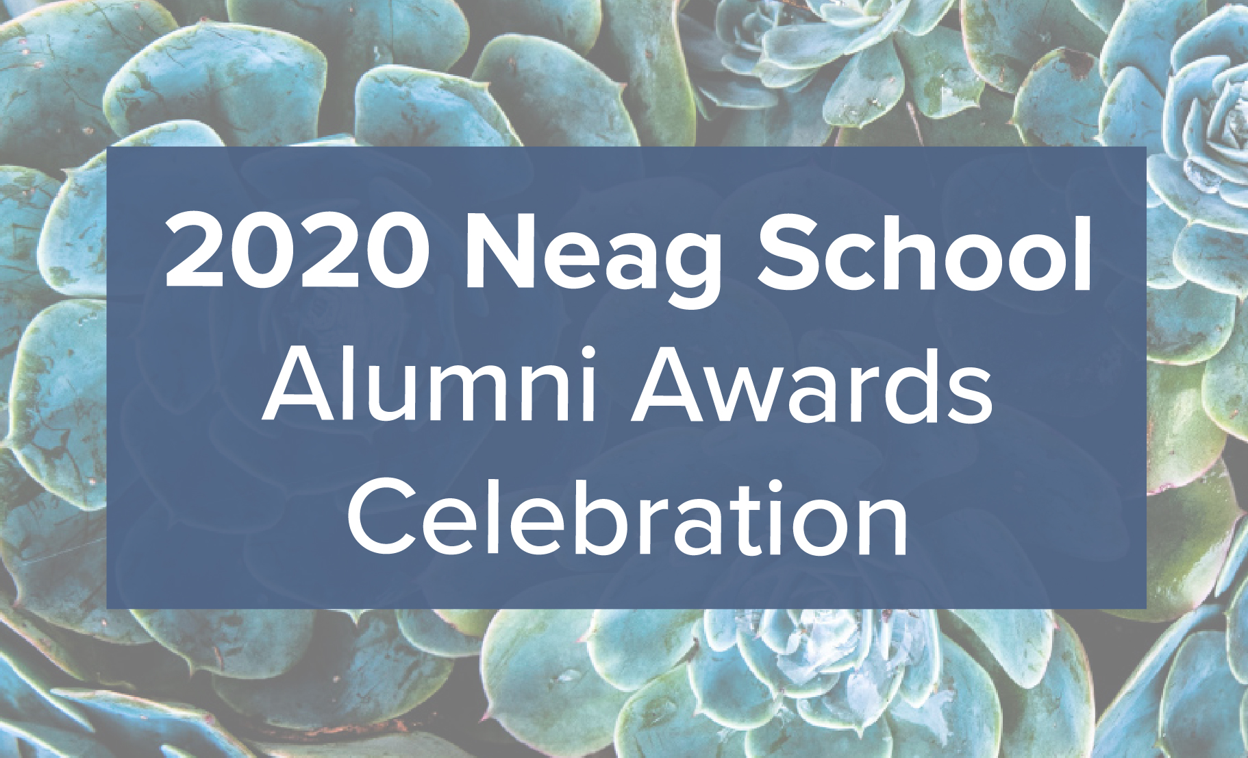 Neag School Alumni Awards 2020 logo.