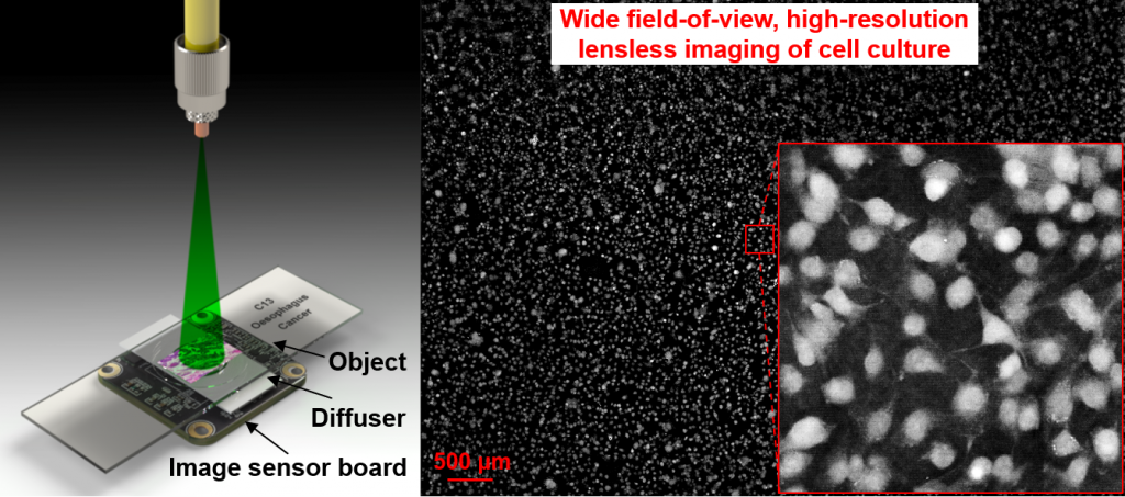 A diagram illustrating a new type of microscopy by UConn researchers.