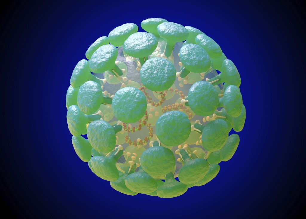 An illustration of a coronavirus