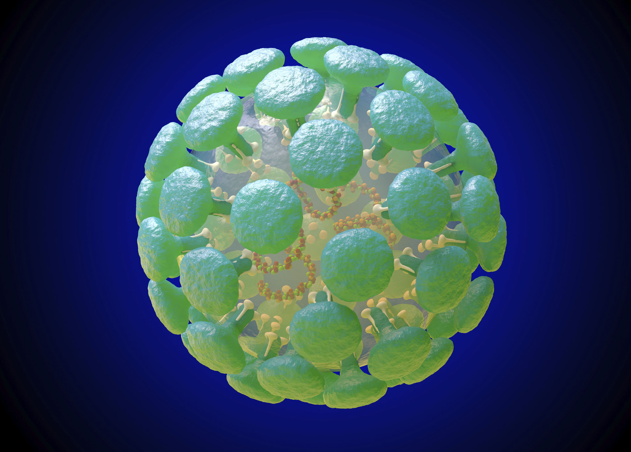An illustration of a coronavirus