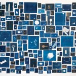 Elizabeth Ellenwood, "November 3, 2018 Collection," (2018), Installation of 240 cyanotype prints (courtesy of the artist).
