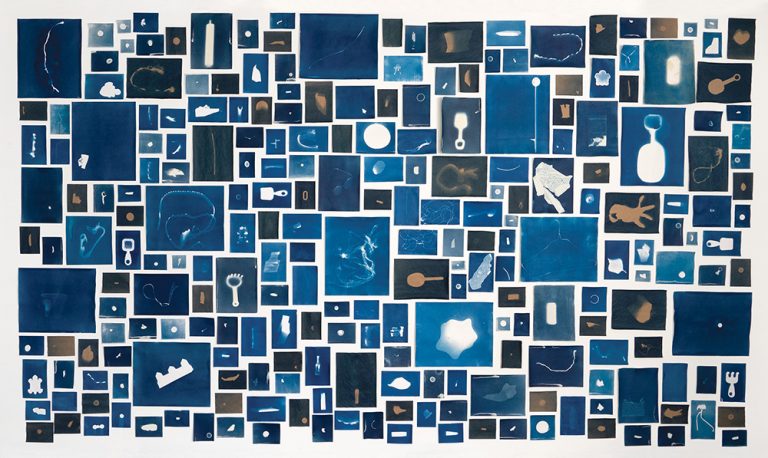 Elizabeth Ellenwood, "November 3, 2018 Collection," (2018), Installation of 240 cyanotype prints (courtesy of the artist).