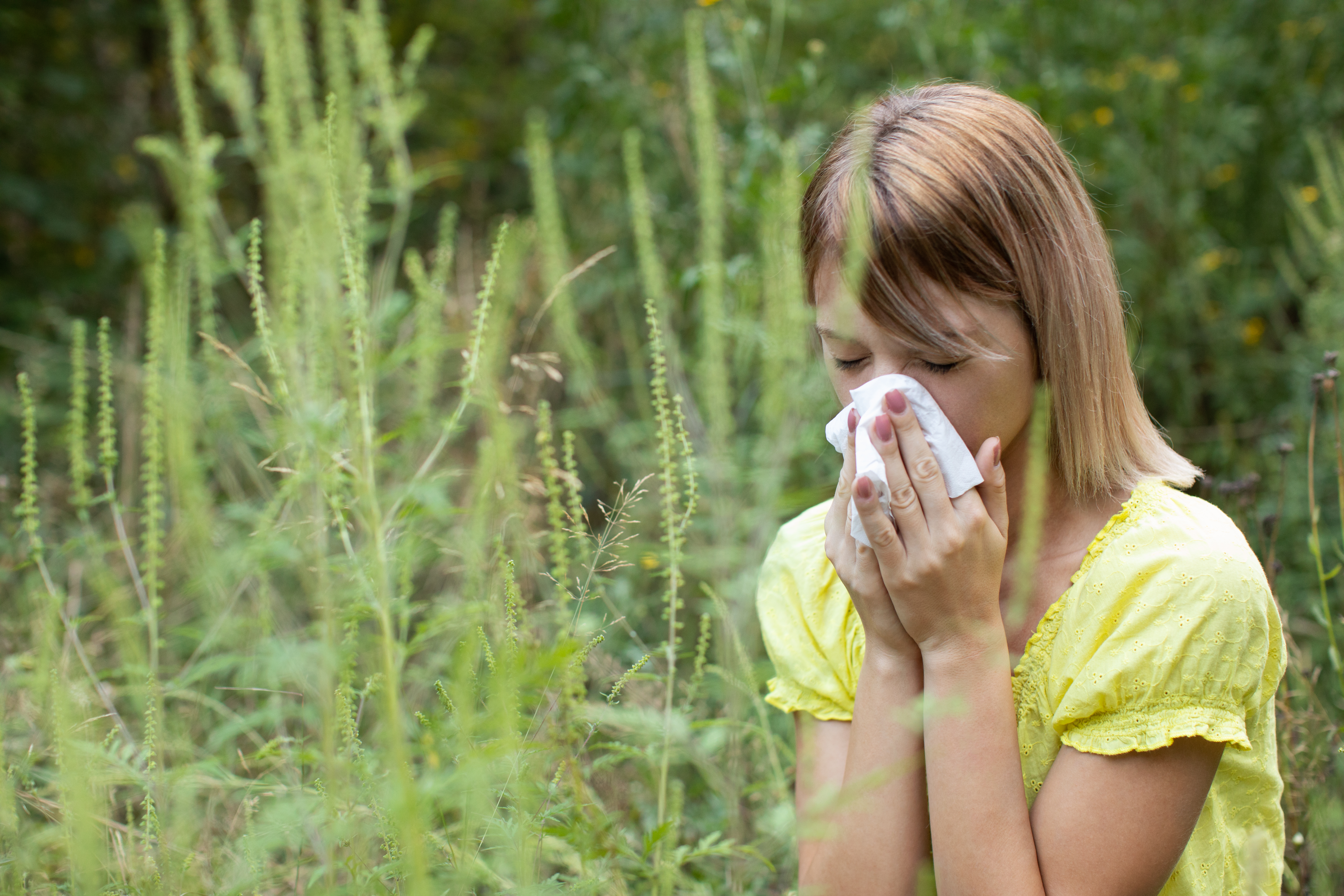 A woman covers her mouth and nose in a field of ragweed.