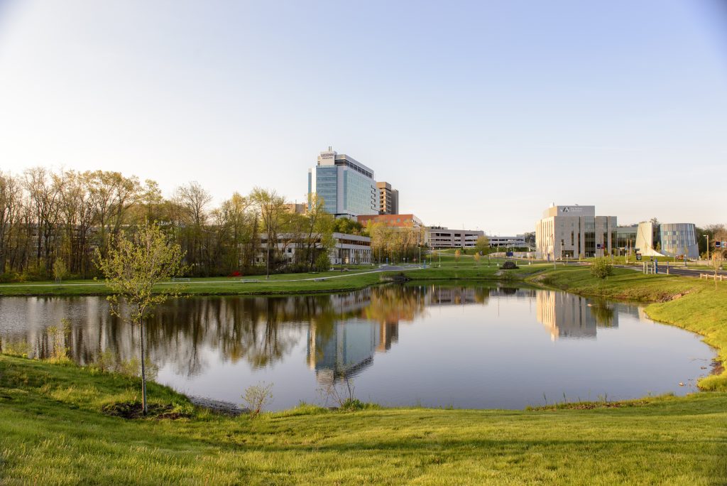 A view of the UConn Health campus.