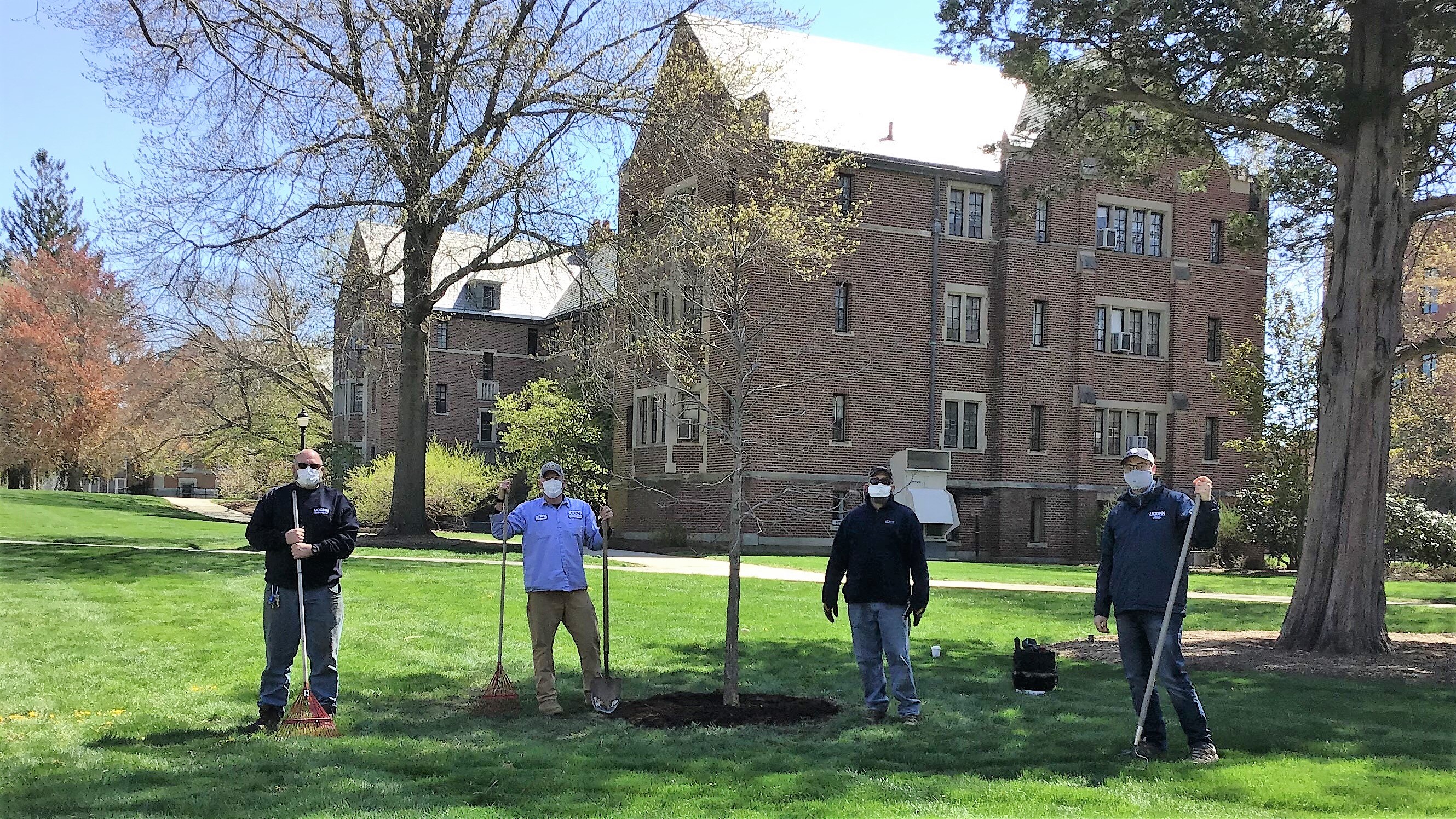 From left to rigth, Mike Kovach (landscape supervisor), Brian Murray (arborist), William Bates (arborist), and Patrick McKee (UConn Office of Sustainability) plant the Class of 2020 tree, an oak.