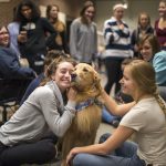 Students interact with a therapy dog in the Homer Babbidge Library on Dec. 14, 2016. (Ryan Glista/UConn Photo)