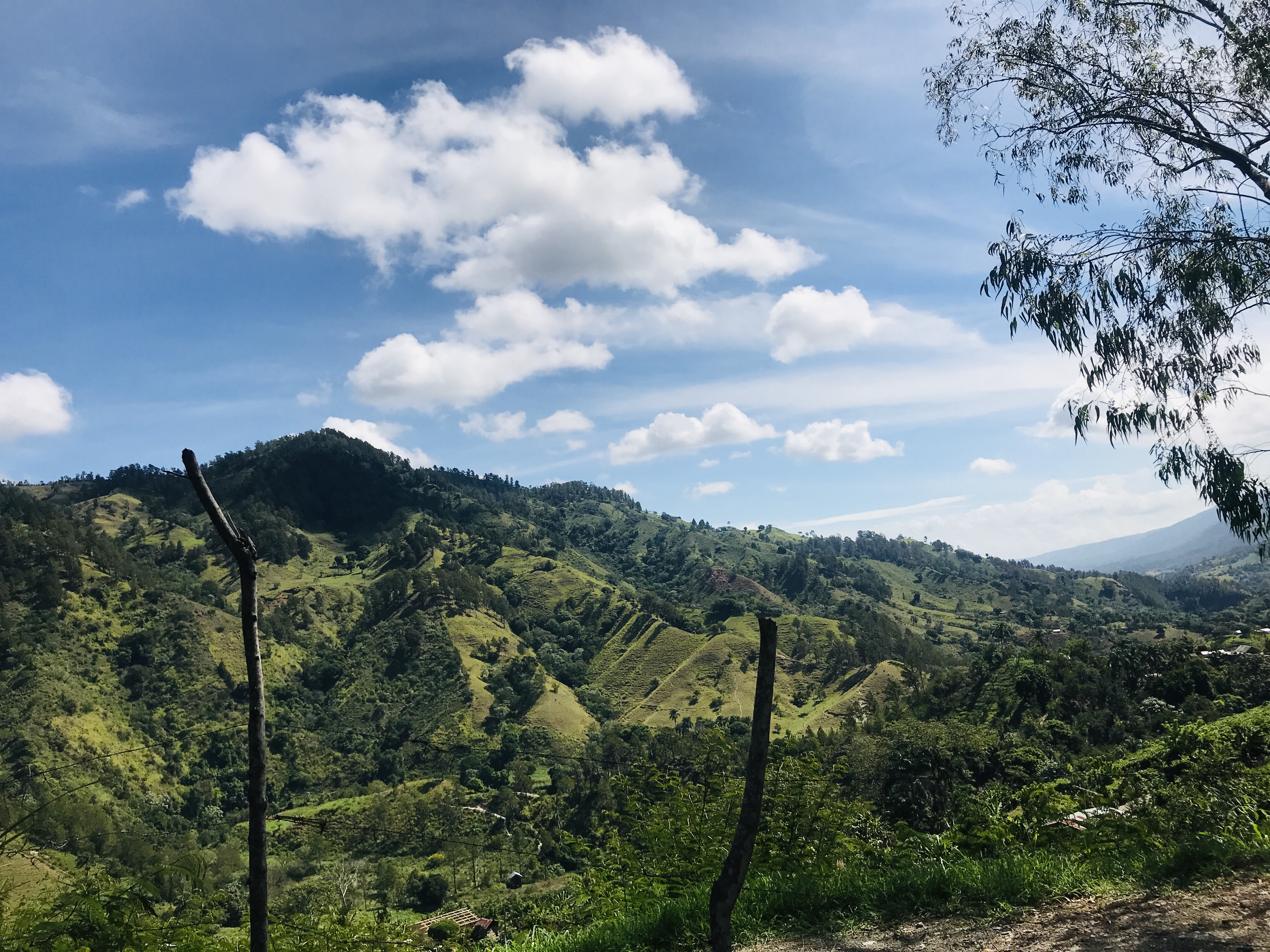While the Dominican Republic is known for its beaches, it also boasts vast mountain ranges and fertile green valleys. Pico Duarte, at 3,098 meters (10,164 feet), is the highest peak in the Caribbean.
