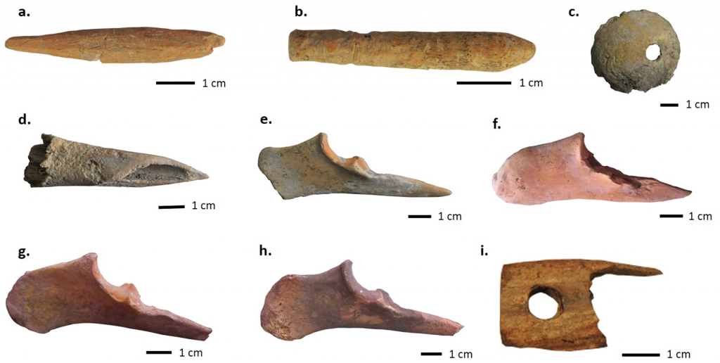 Type of bone and antler tools found at the site. Including a) a possible loom shuttle made of antler, b) a possible spindle made of antler, c) a whorl made of bone, d—g)bone awls and perforators, i) a small (broken) shearing comb made of antler. 