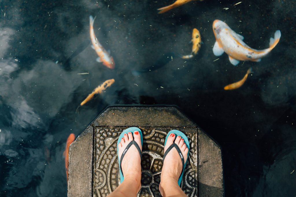 Woman in flip flops standing on a stone in a koi pond at Tirta Gangga, Bali, Indonesia.