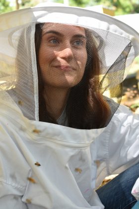 The Psychologist and the Bees - UConn Today