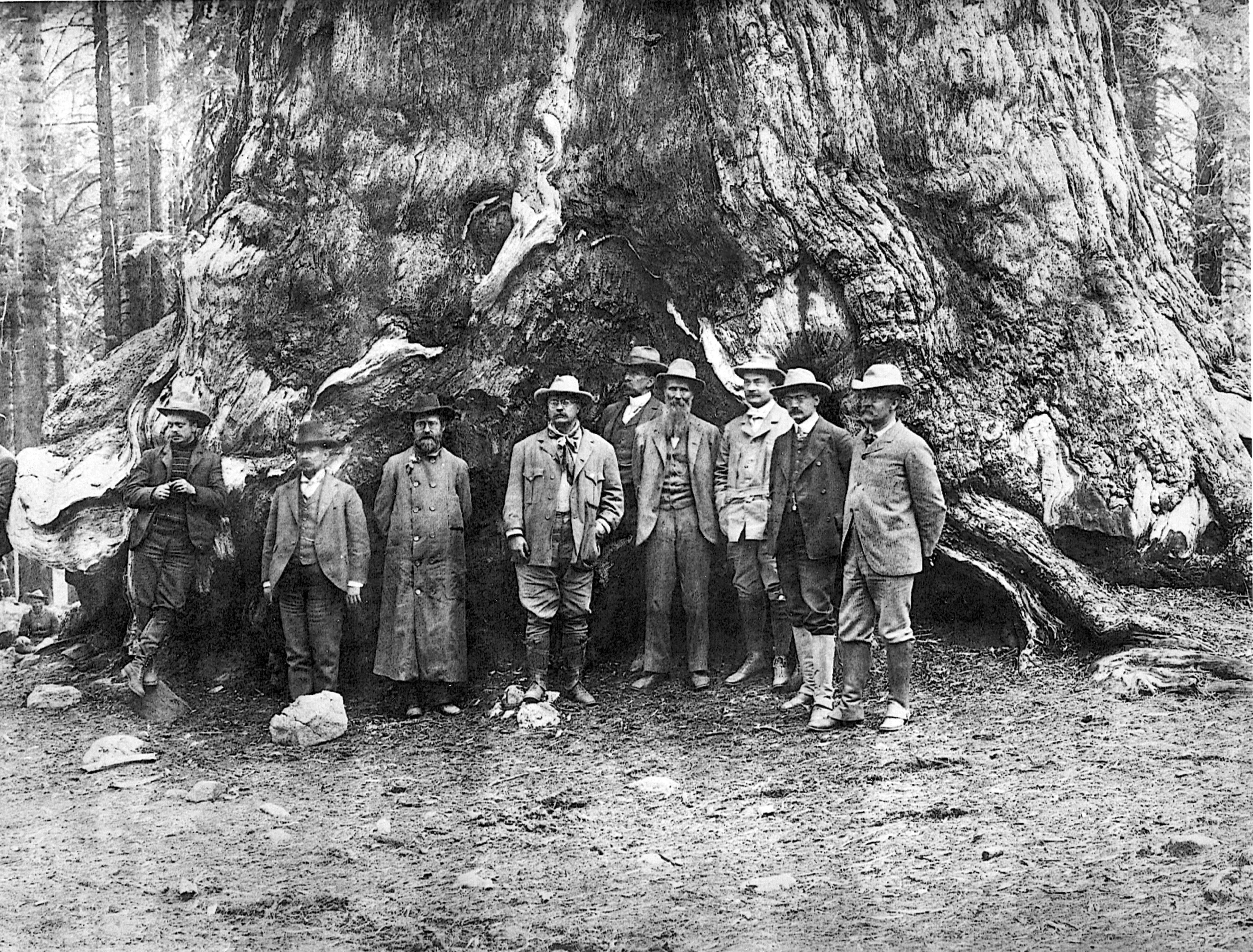 President Theodore Roosevelt and conservationist John Muir (to the President's left) in Yosemite Valley, California, 1903