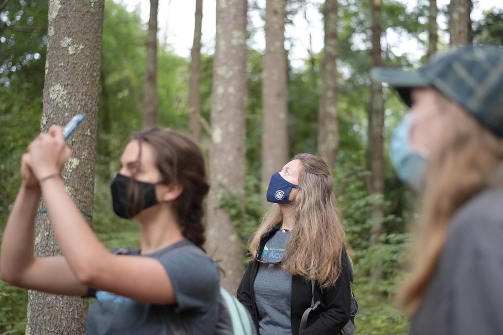 Female students in masks taking photos of trees with cell phones in the forst