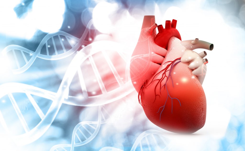 Anatomy of Human Heart with DNA structure background. 3d render