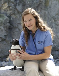 Dr. Allison D. Tuttle, Senior Vice President of Zoologic Operations at Mystic Aquarium