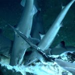 An image of the "shark feast" from cruise EX1903L2 dive 7, (NOAA Office of Ocean Exploration and Research)