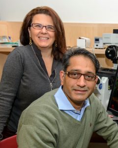 Paola Bargagna-Mohan and Royce Mohan in their lab