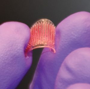 A tiny microneedle patch being held between the gloved fingers of a UConn researcher.