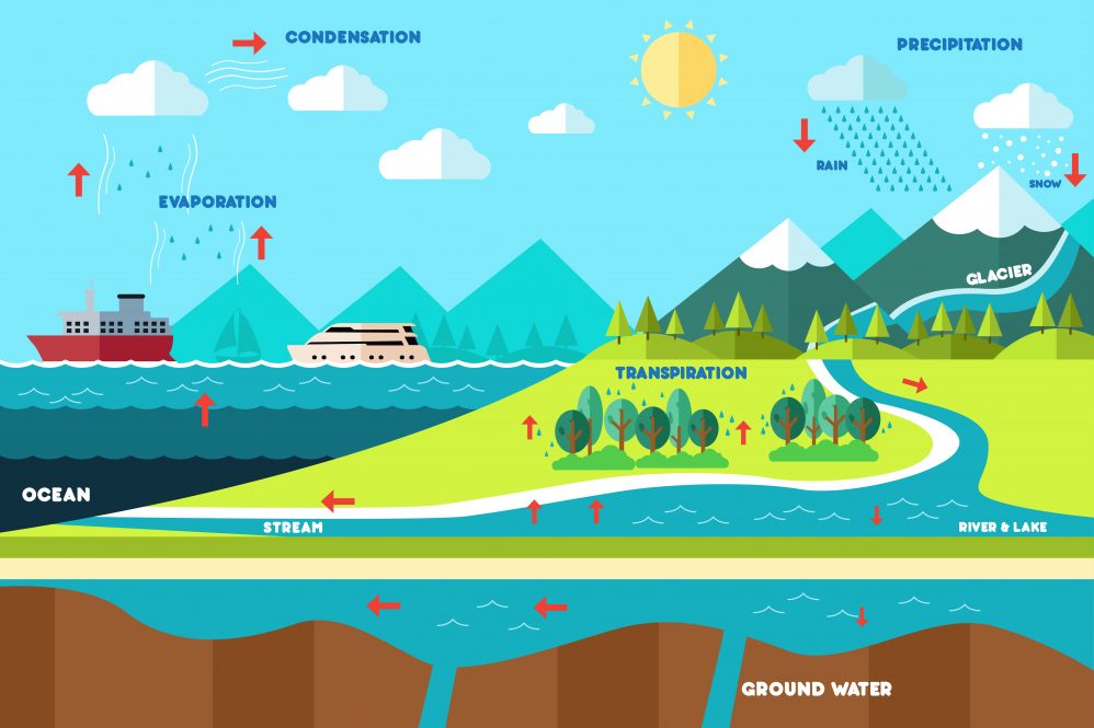 An illustration of the water cycle.