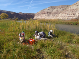 Researchers processing water samples on the banks of the Gunnison River in Colorado, looking for traces of selenium.
