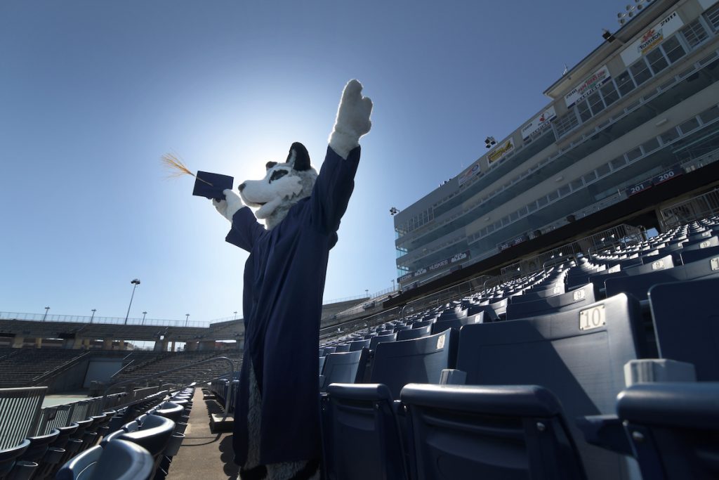 The costumed Husky mascot wears a graduation gown in the stands at Rentschler Field in East Hartford, which will host in-person commencement ceremonies in May.