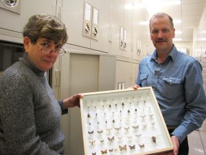 David Wagner, professor of ecology and evolutionary biology and Jane O’Donnell, manager of scientific collections. 