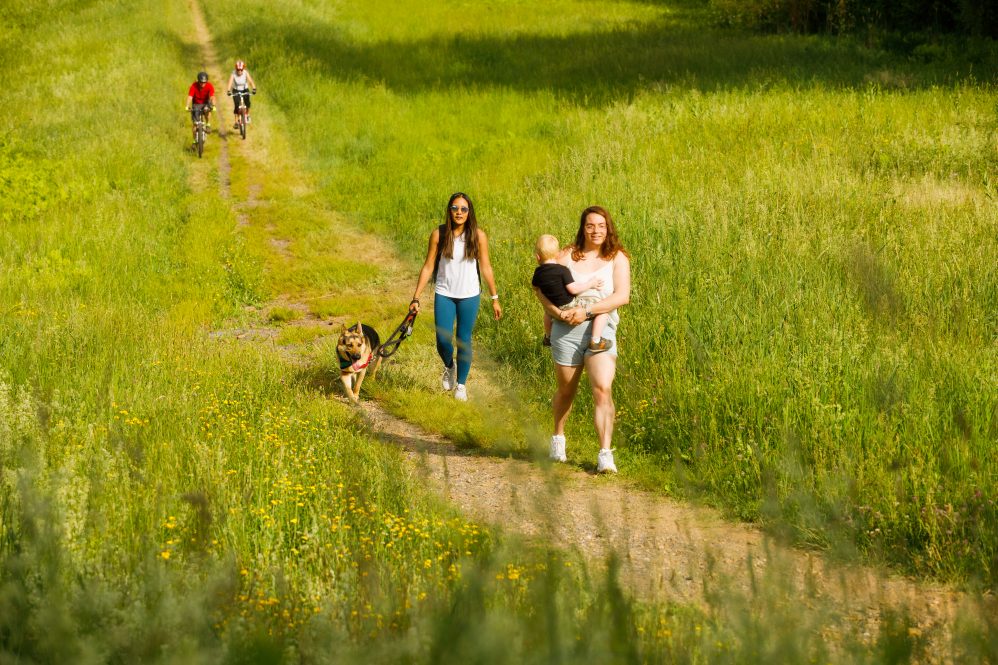 People walking a trail through tall grass. The Connecticut Trail Finder will be regularly updated with new information for hikers, cyclists, local businesses, and more.