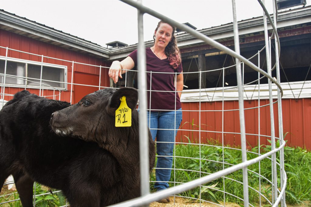 Woman standing outside with baby cow