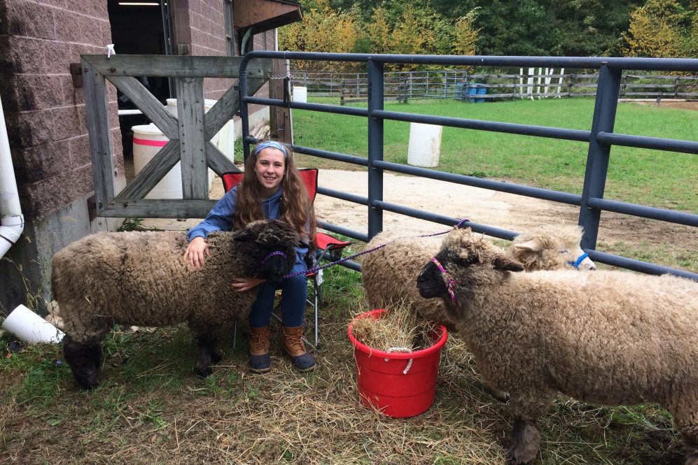 Smiling young woman sitting with sheep