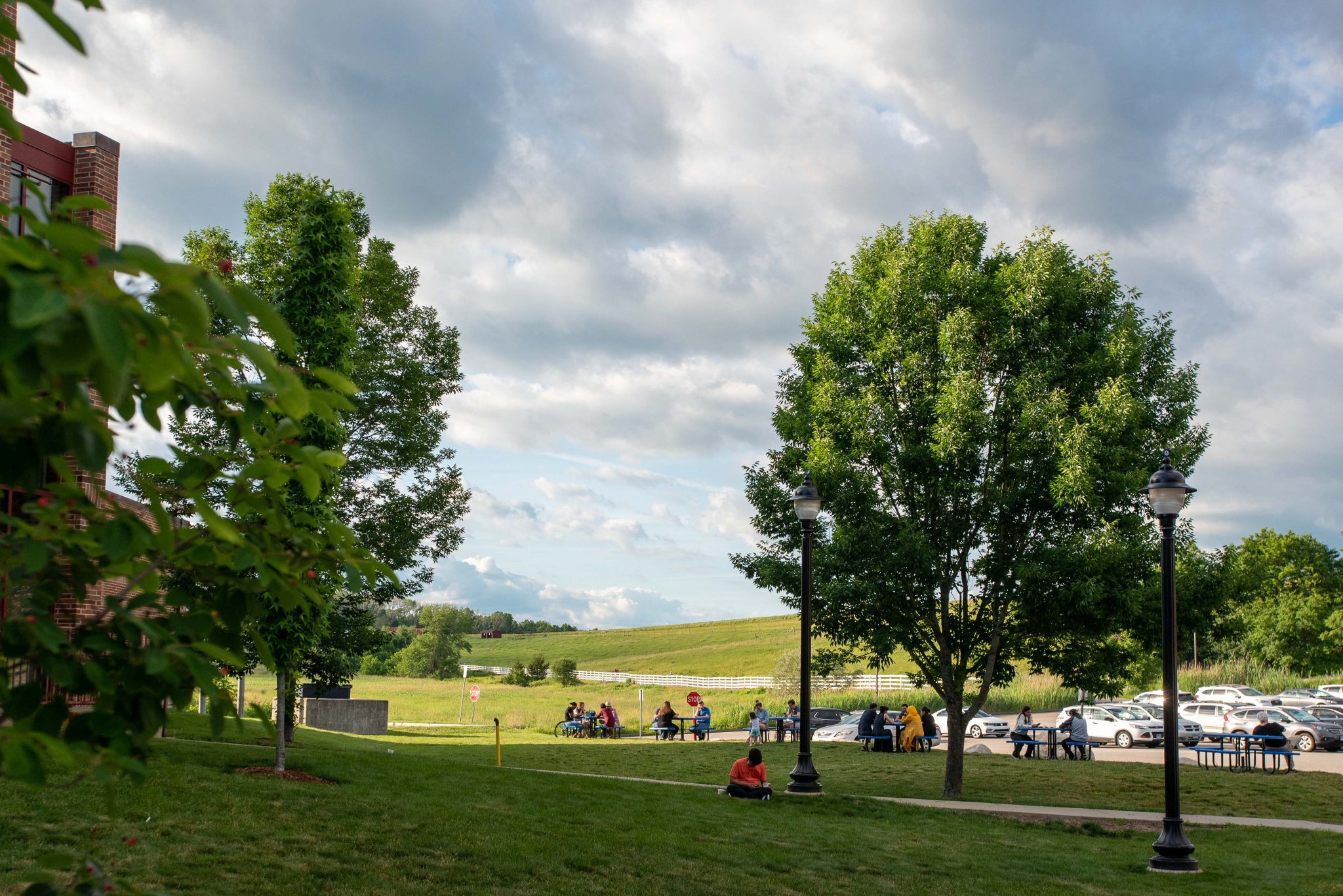 We All Scream for Connecticut's Finest Ice Cream UConn Today