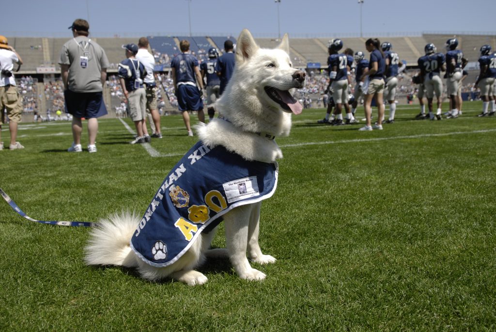 Jonathan XII at football game at Rentschler Field