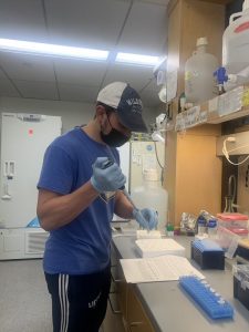 Juan Colberg Martinez prepares vials in his lab wearing a face mask.