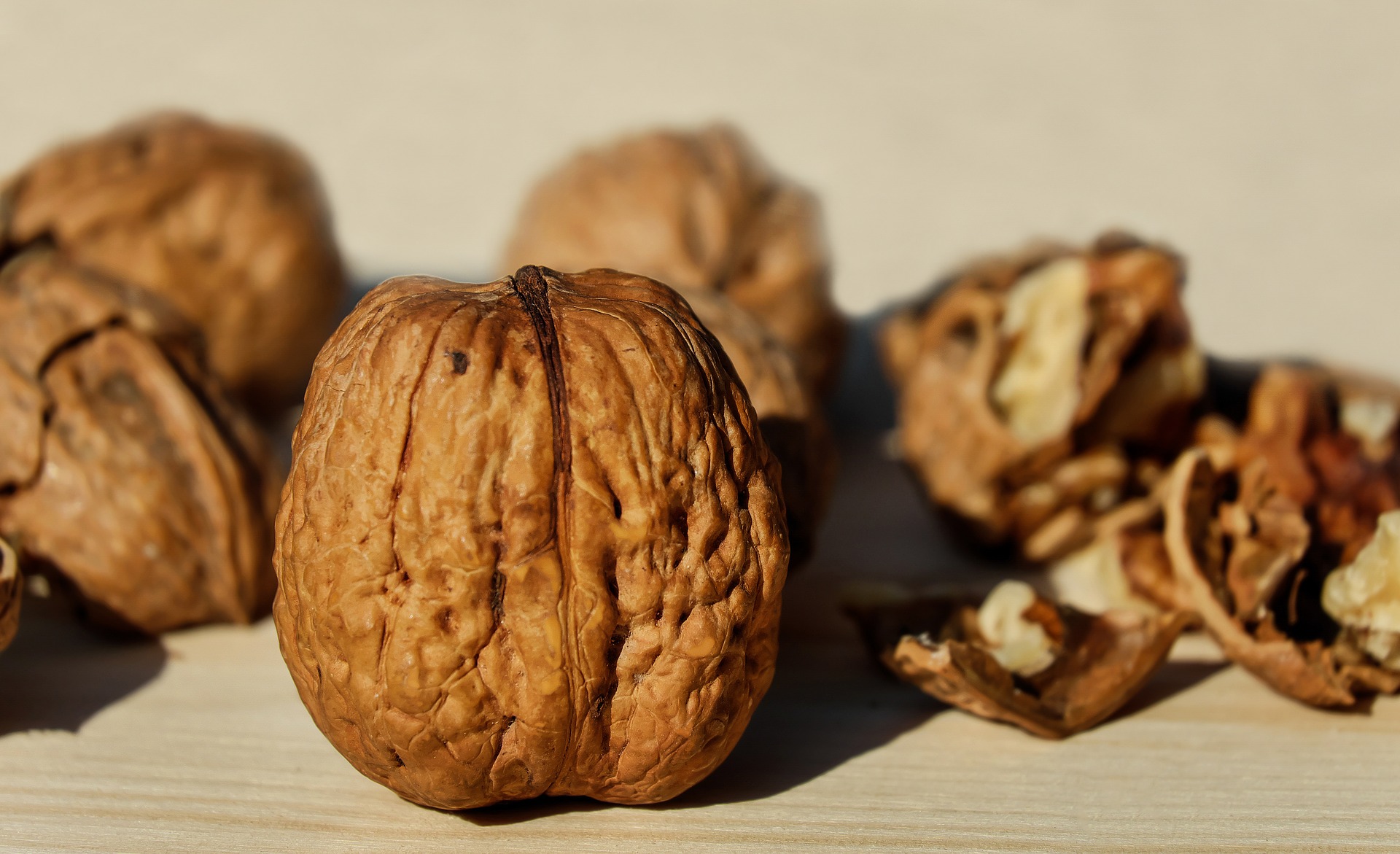 UConn Health Researcher Studying Walnuts’ Ability to Reduce Colon