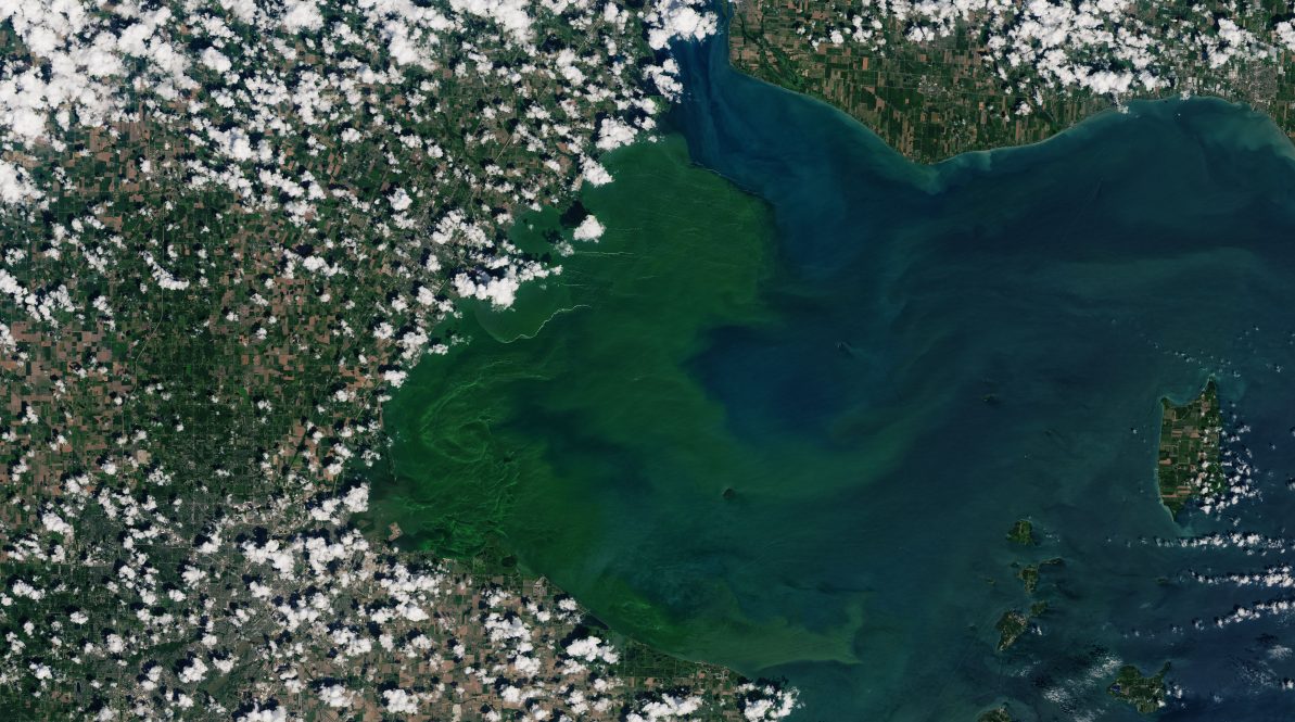 This satellite image shows the deep green of an algae bloom on Lake Erie on 30 July 2019.